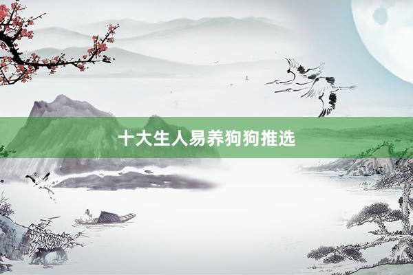十大生人易养狗狗推选