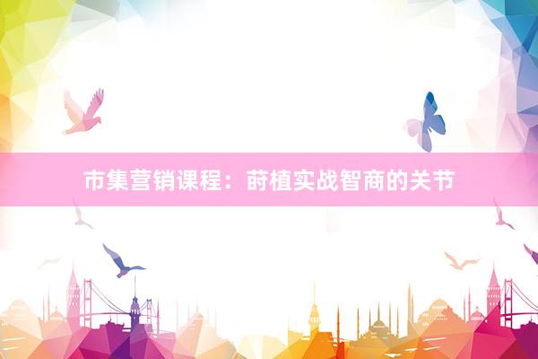 市集营销课程：莳植实战智商的关节