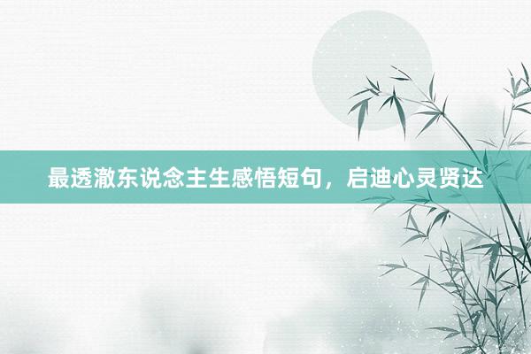 最透澈东说念主生感悟短句,启迪心灵贤达